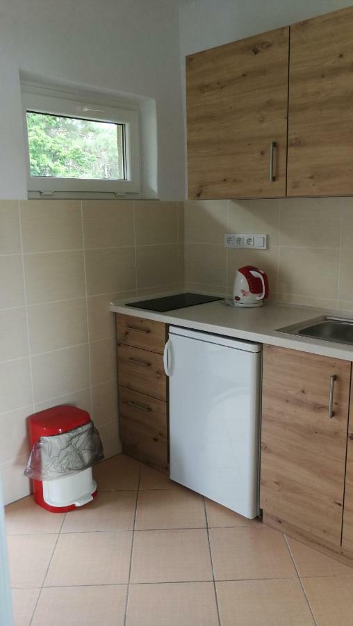Apartmány Orlík - Loužek Milesov Exterior foto